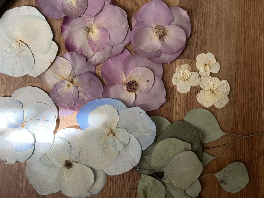 pressed flowers in purple and blue with green eucalyptus
