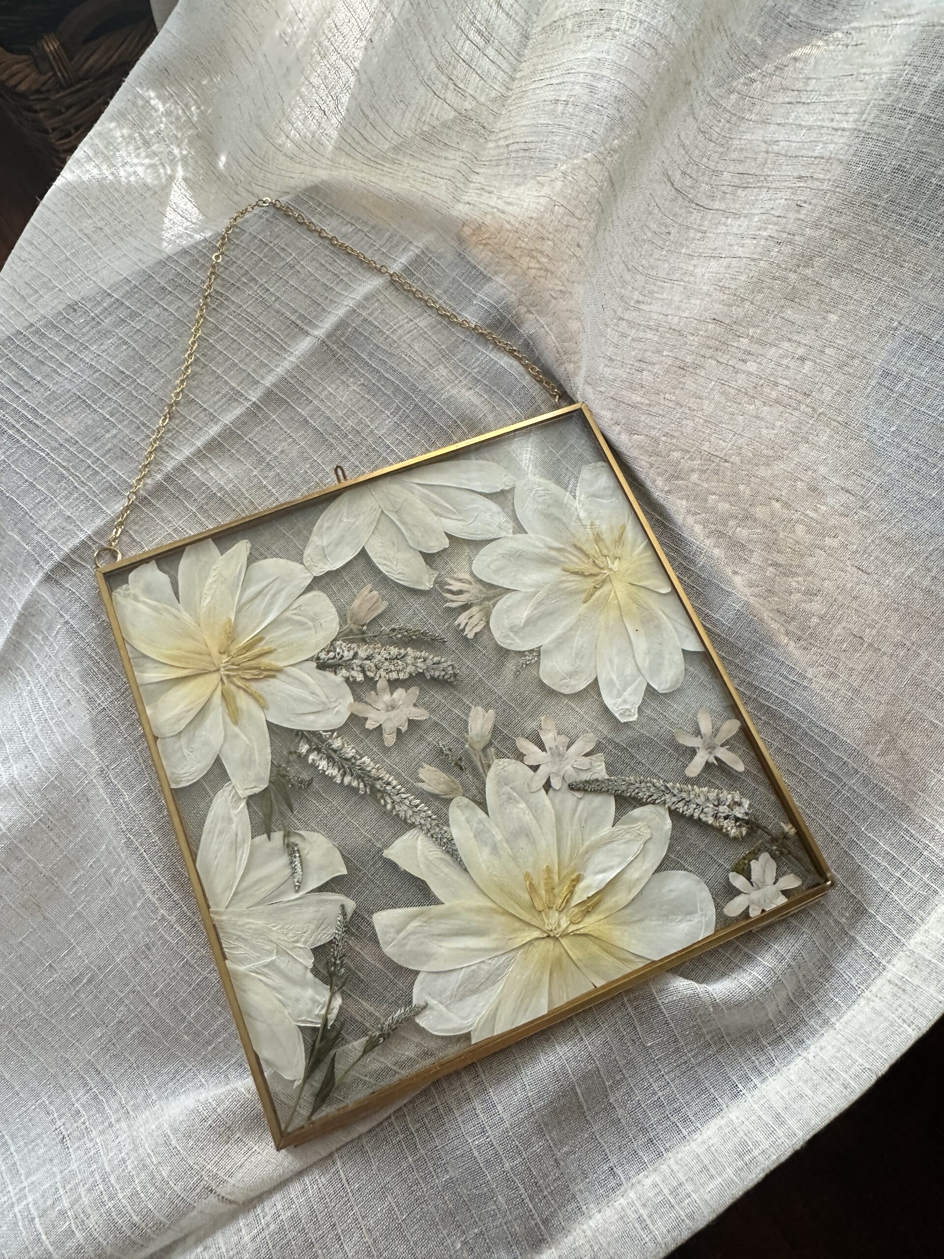 pressed flower art in a square frame double glass on white back ground