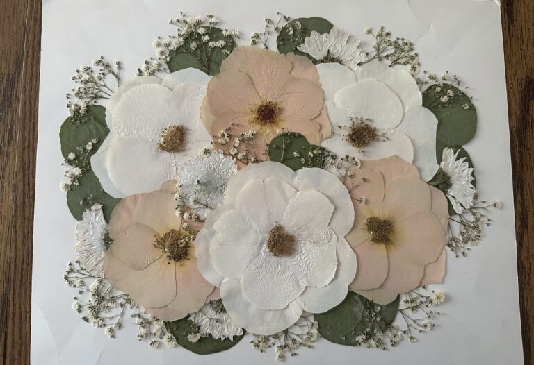 color corrected pressed flower roses