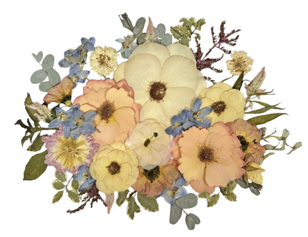 pressed flowers arranged after color correction has been applied