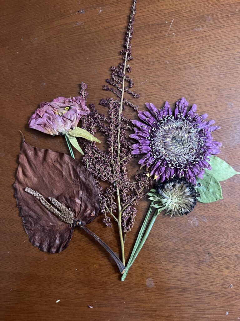 purple pressed flowers